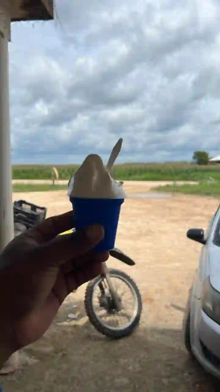 Taste Bacalar – Street Food & Local Flavors