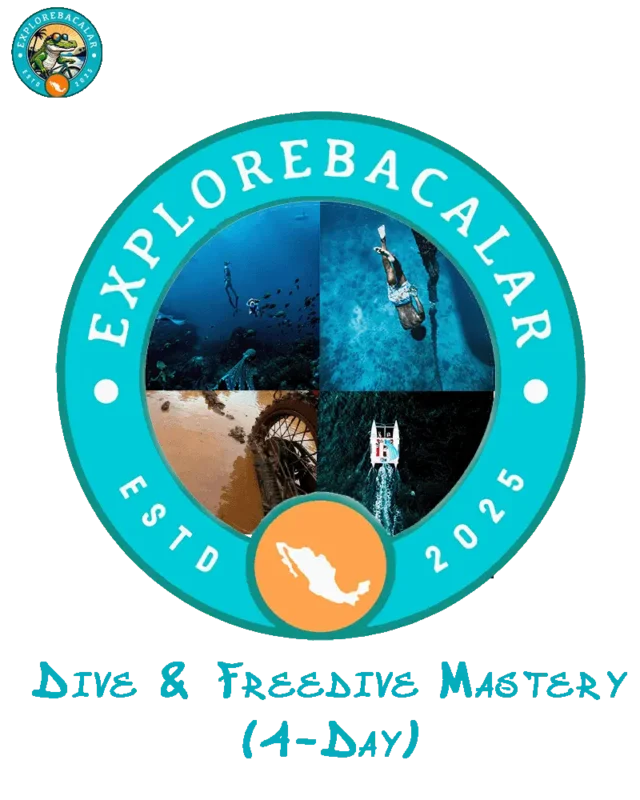 Dive & Freedive Mastery in Mahahual