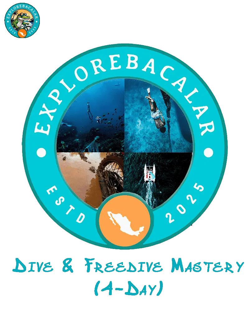 Dive & Freedive Mastery in Mahahual