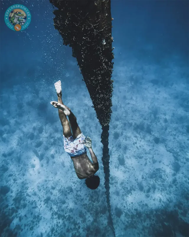 AIDA 1 Freediving Course Mahahual