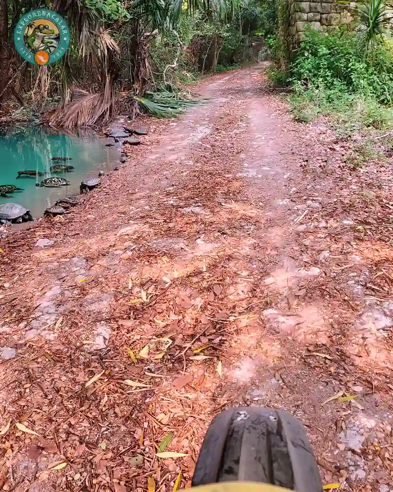 Offroad Adventure in Bacalar – A Motorcycle Escape Beyond the Lagoon