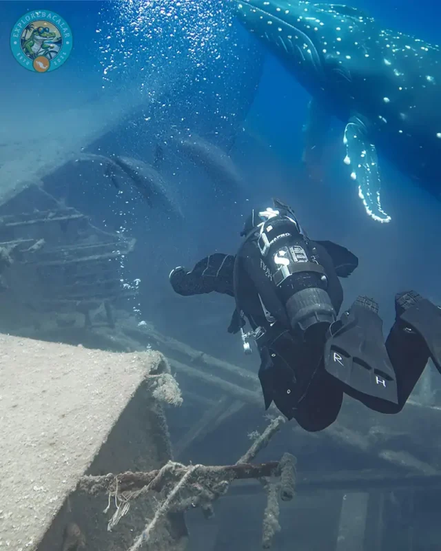 Certified Open Water scuba student exploring Mahahual reef