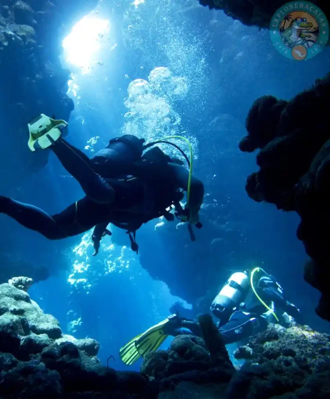 Private 2-Tank Dive Mahahual