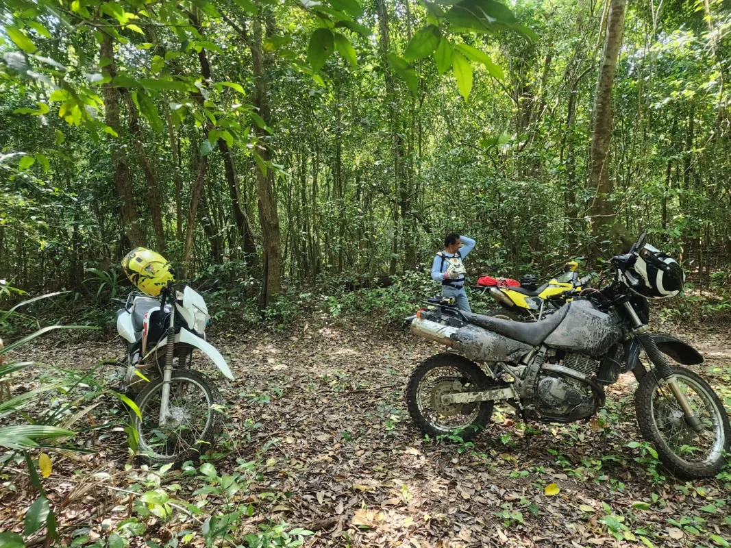 Trade Your EU Winter