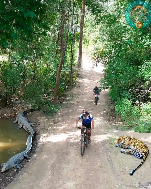 Cycling Bacalar – Ride Wild Routes through the lagoon and jungle trails