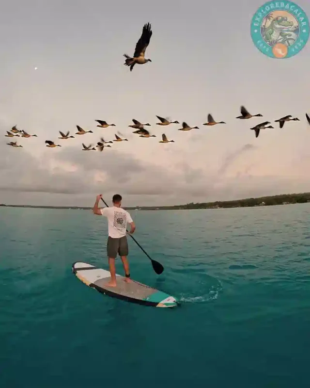 Paddleboarding in Bacalar – Explore the Lagoon at Your Own Pace